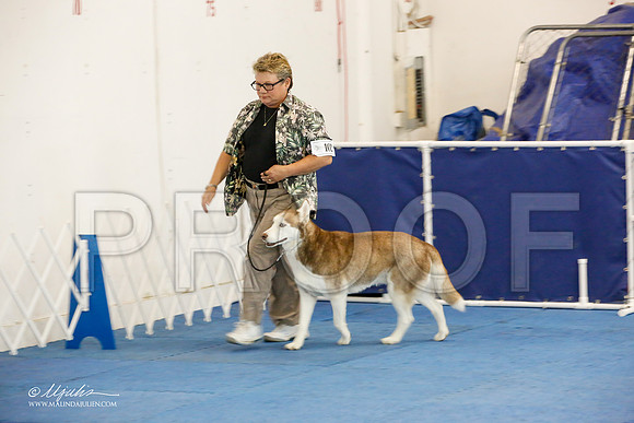_M3_7842-AddisonHuskyMar2015-HR3