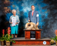 Pekingese #11 Fri G4 Judge Paula Hartinger