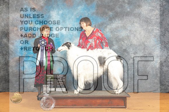 Borzoi #11 Fri BVAOM Judge Pat Trotter_JP_9051_Glen Rose_2024_HR3
