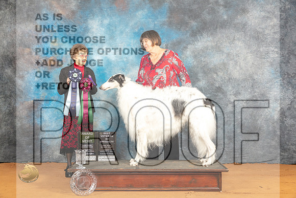 Borzoi #11 Fri BVAOM Judge Pat Trotter_JP_9052_Glen Rose_2024_HR3