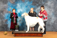 Borzoi #17 Fri AOM Judge Pat Trotter