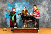 Borzoi #20 Fri BBE Judge Pat Trotter
