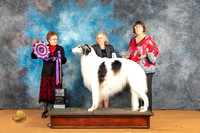 Borzoi #23 Fri BOB Judge Pat Trotter