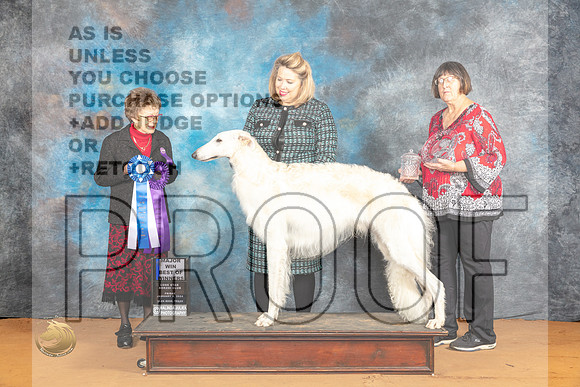 Borzoi #23 Fri BOW Judge Pat Trotter_JP_9109_Glen Rose_2024_HR3