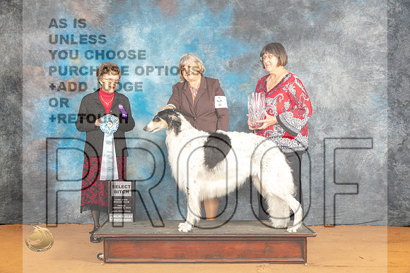 Borzoi #26 Fri SB Judge Pat Trotter_JP_9067_Glen Rose_2024_HR3