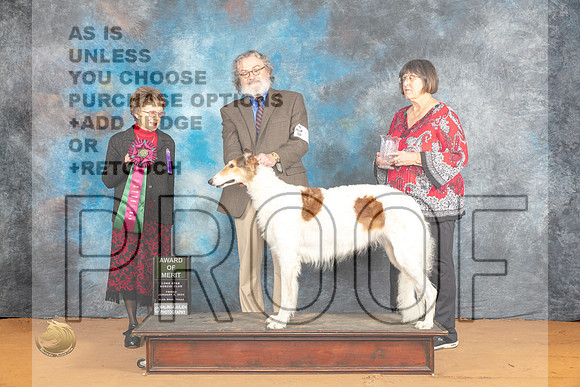 Borzoi #30 Fri AOM Judge Pat Trotter_JP_9095_Glen Rose_2024_HR3
