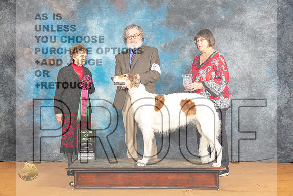 Borzoi #30 Fri AOM Judge Pat Trotter_JP_9098_Glen Rose_2024_HR3