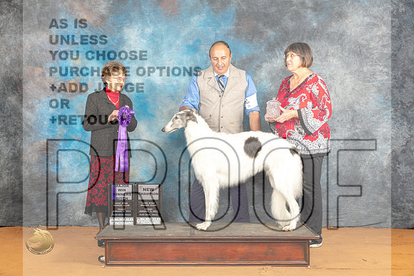 Borzoi #36 Fri WBMCH Judge Pat Trotter_JP_9057_Glen Rose_2024_HR3