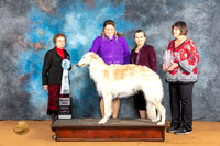 Borzoi #5 FRi SD Judge Pat Trotter