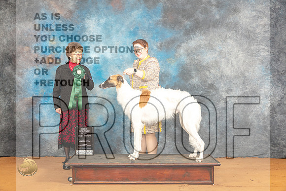 Borzoi #7 BP Fri Judge Pat Trotter_JP_9070_Glen Rose_2024_HR3