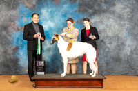Bozoi #7 Fri BISweeps Judge Israel Garcia