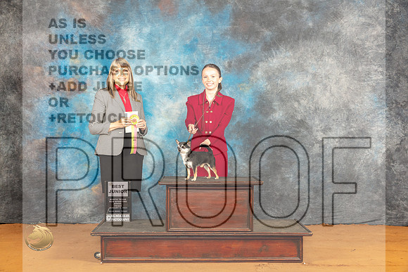 Chihuahua Smooth #750 Fri BJr Judge Angela Pickett_JP_9161_Glen Rose_2024_HR3