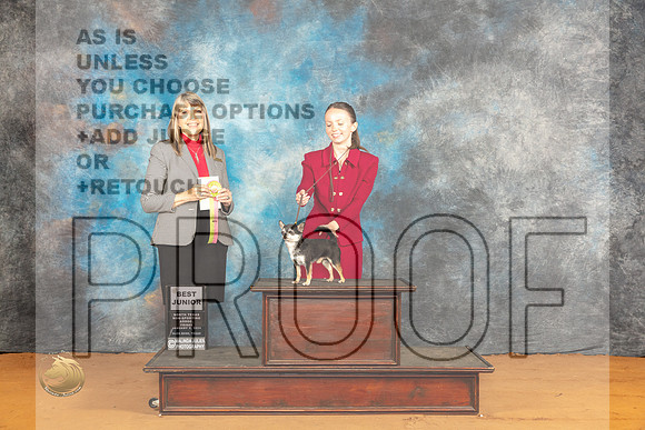 Chihuahua Smooth #750 Fri BJr Judge Angela Pickett_JP_9163_Glen Rose_2024_HR3