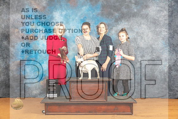French Bulldog #32 Fri Sat Judge Kim Rutherford_JP_9025_Glen Rose_2024_HR3