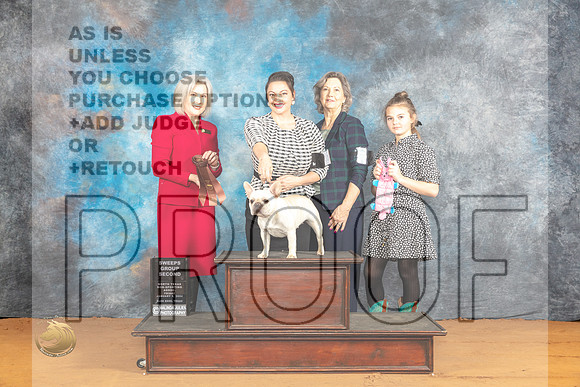 French Bulldog #32 Fri Sat Judge Kim Rutherford_JP_9026_Glen Rose_2024_HR3