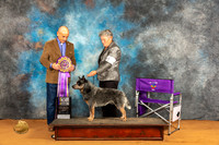 Australian Cattle Dog #9 Fri BIS Judge Harry Butch Schulman