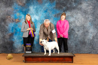Bulldog #14 Fri BOB Judge Angela Pickett