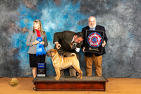 Chinese Shar Pei #11 Fri G1 Judge Angela Pickett
