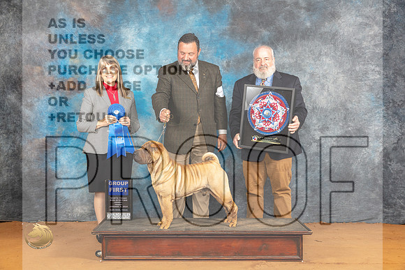 Chinese Shar Pei #11 Fri G1 Judge Angela Pickett_JP_9359_Glen Rose_2024_HR3