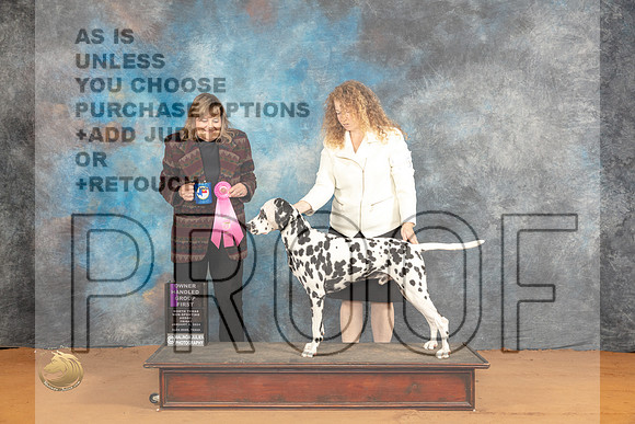Dalmatian #25 Fri OHG1 Judge Debbie Mitchell_JP_9374_Glen Rose_2024_HR3