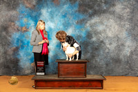 French Bulldog #44 Fri G2 Judge Angela Pickett