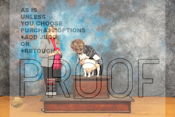 French Bulldog #44 Fri G2 Judge Angela Pickett_JP_9362_Glen Rose_2024_HR3