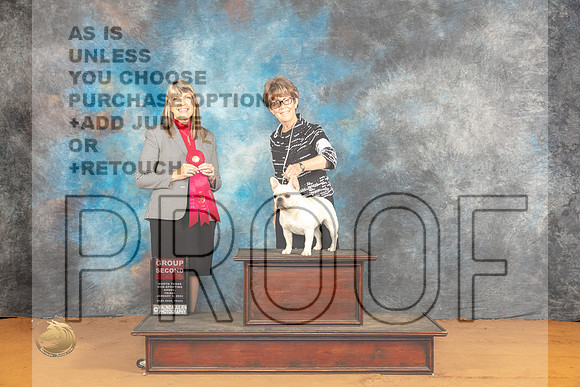 French Bulldog #44 Fri G2 Judge Angela Pickett_JP_9364_Glen Rose_2024_HR3