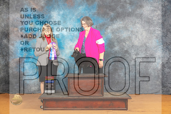 Schipperkee #10 Fri BOWBOSCH Judge Angela Pickett_JP_9263_Glen Rose_2024_HR3