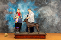 Xolo #6 Fri BOB Judge Angela Pickett