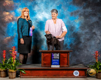 Pug #10 Sat WB MAJ Judge Susan St JohnBrown