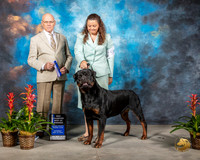 Rottweiler #5 Sat NC Judge Edd Bivin