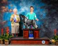 #9 Sat NC BOW Judge Paula Hartinger