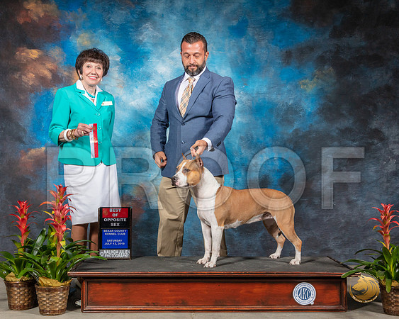 SSR_0983-SanAntonio2019-HR3
