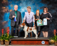 Brittany #36 Sat WB BOW MAJ Judge Robert Stein