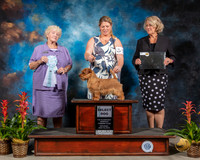 Norfolk Terrier #19 Sat SD Spec Judge Mary Jane Carberry