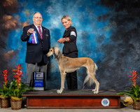 Salukis #10 Sat BOW Judge Donald Gill