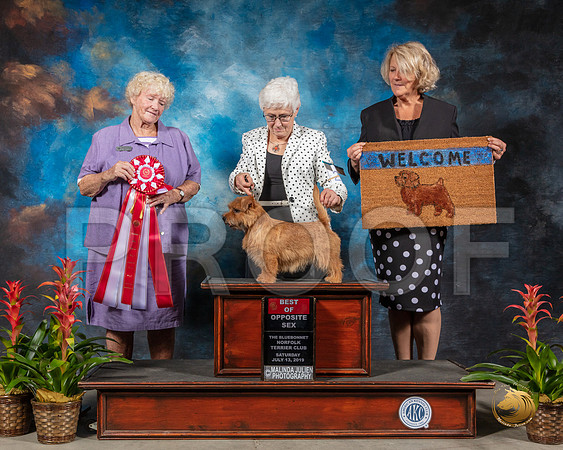 SSR_1093-SanAntonio2019-HR3