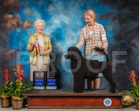 SSR_1149-SanAntonio2019-HR3
