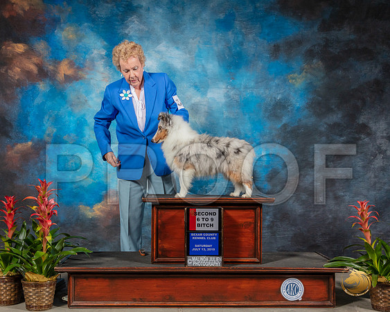 SSR_1143-SanAntonio2019-HR3
