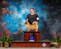 Tibetan Spaniel #22 Fri NC BOS MAJ Judge Barbara Alderman RESHOOT