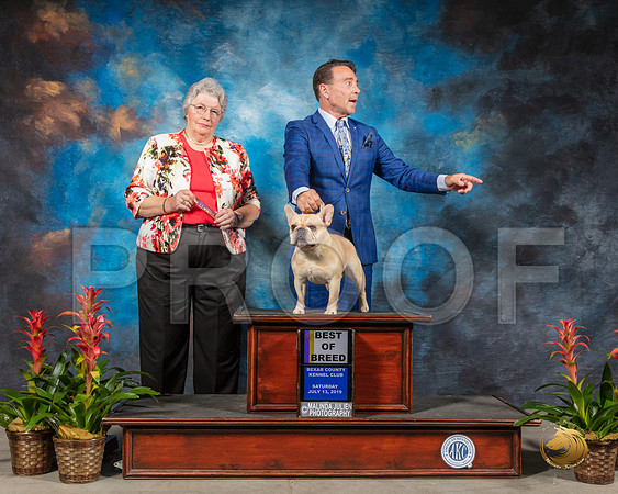 SSR_1268-SanAntonio2019-HR3