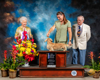 Dachshund Longhaired #5 Sat BOW NG Judge Paula Hartinger