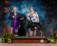 Doberman Pinscher #27 Sat NC MAJ WD Judge Robert Shreve