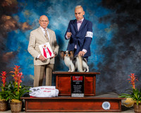 Papillon #19 Sat BOS Judge Edd Bivin