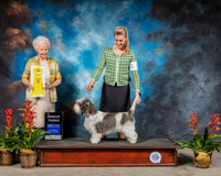 PBGV #14 Sat G3 Judge Paula Hartinger