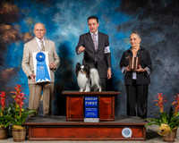 Papillon #20 Sat G1 Judge Edd Bivin