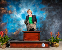 Cairn Terrier Abilene Reshoot