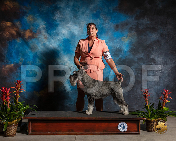 SSR_1562-SanAntonio2019-HR3