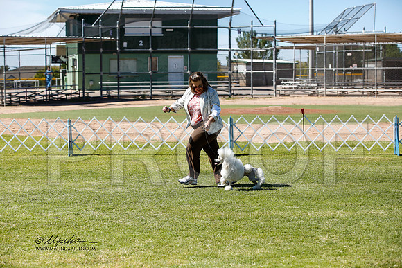 _JN_0984-AlamogordoOct2014-HR3