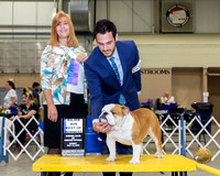 Bulldog #49 Sun BOW Maj Judge Susan St John Brown